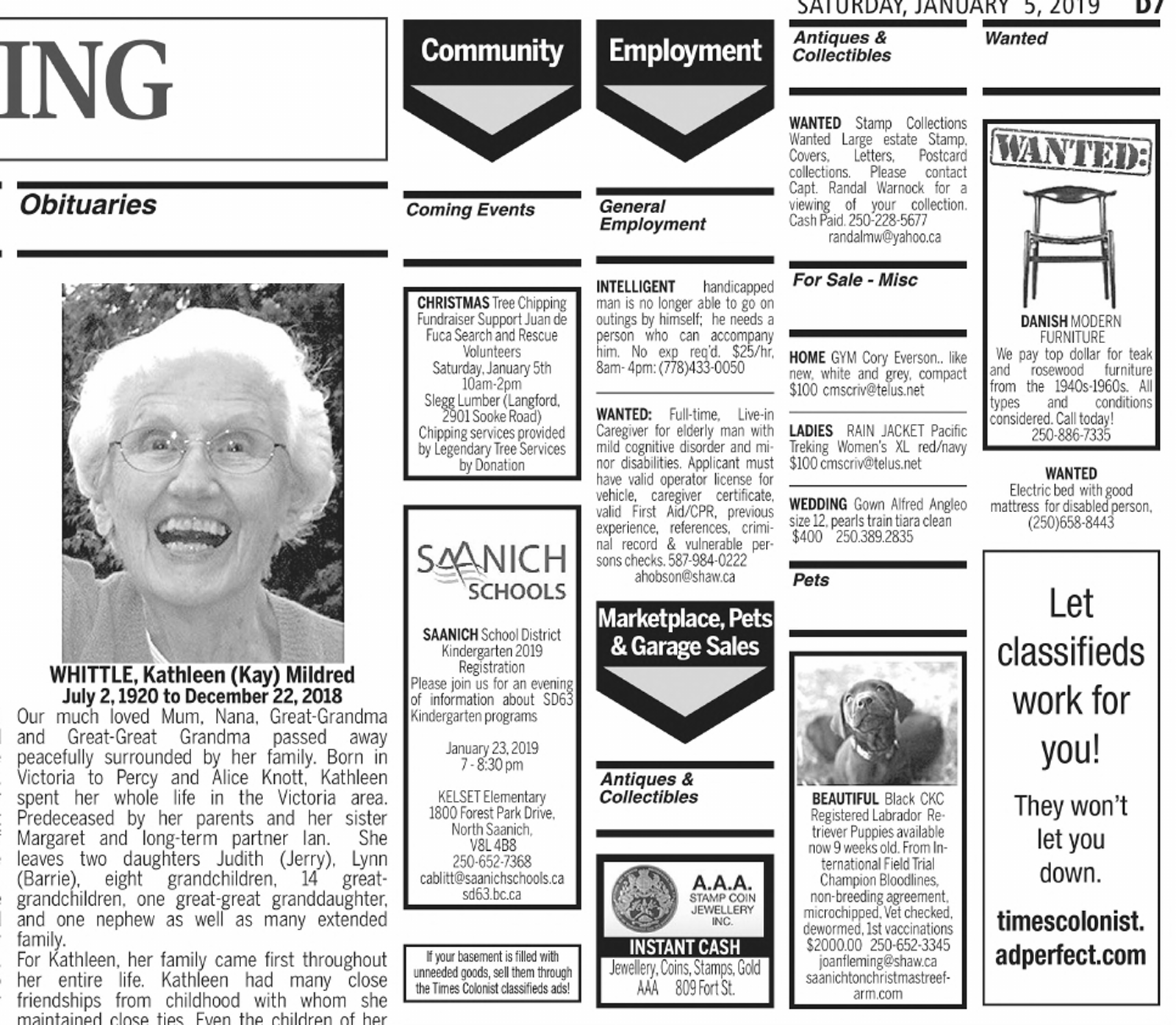 Scan of Times Colonist, page D7, 5 January 2019 — the catalogued article